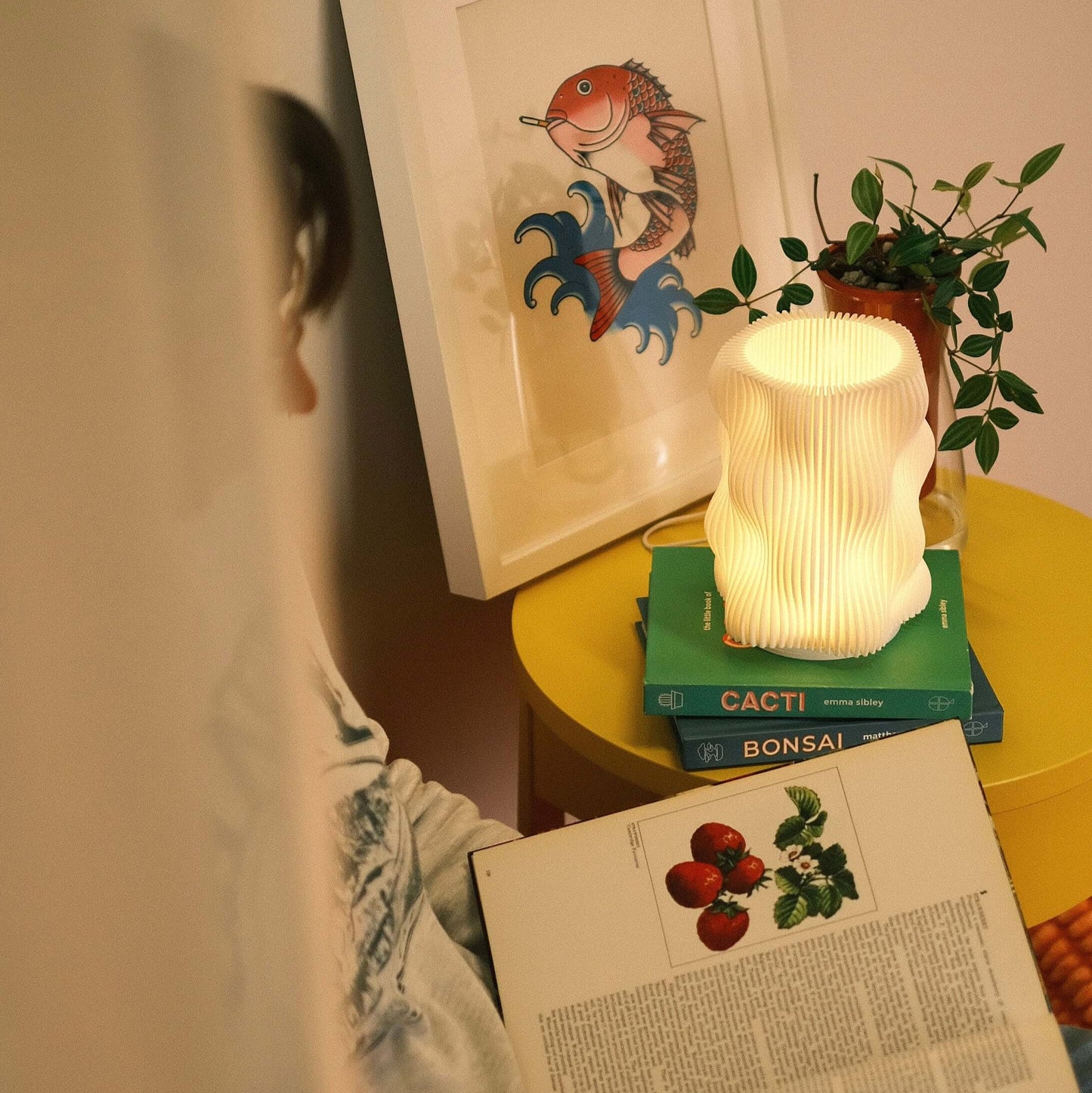 Mini Bubble Lamp