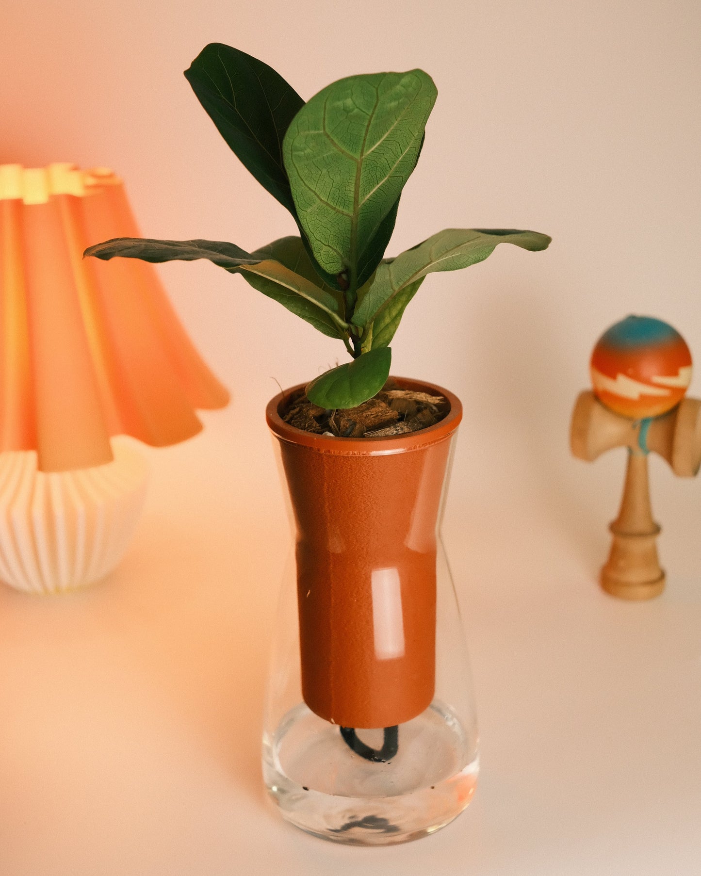Self Watering Glass Planter