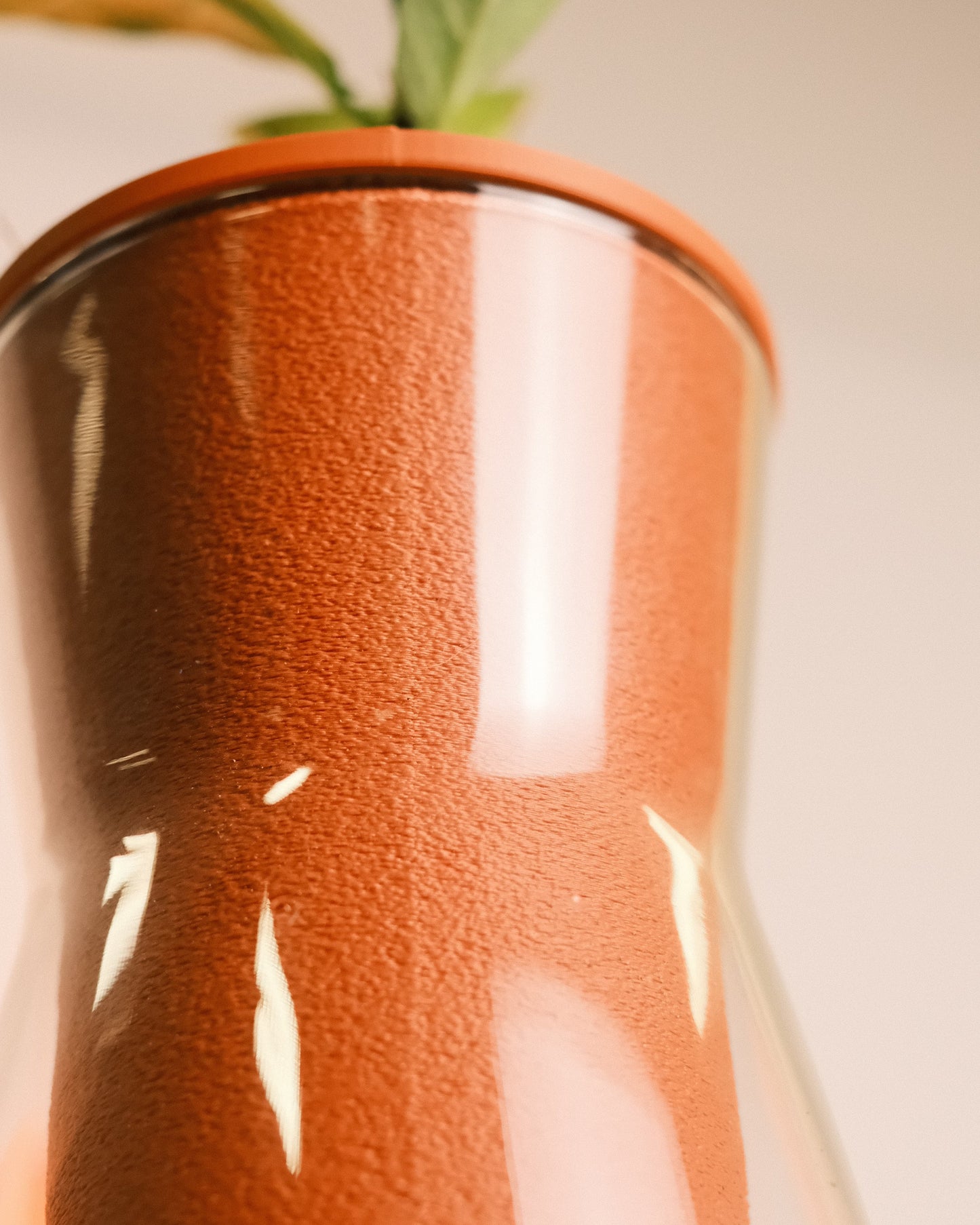 Self Watering Glass Planter