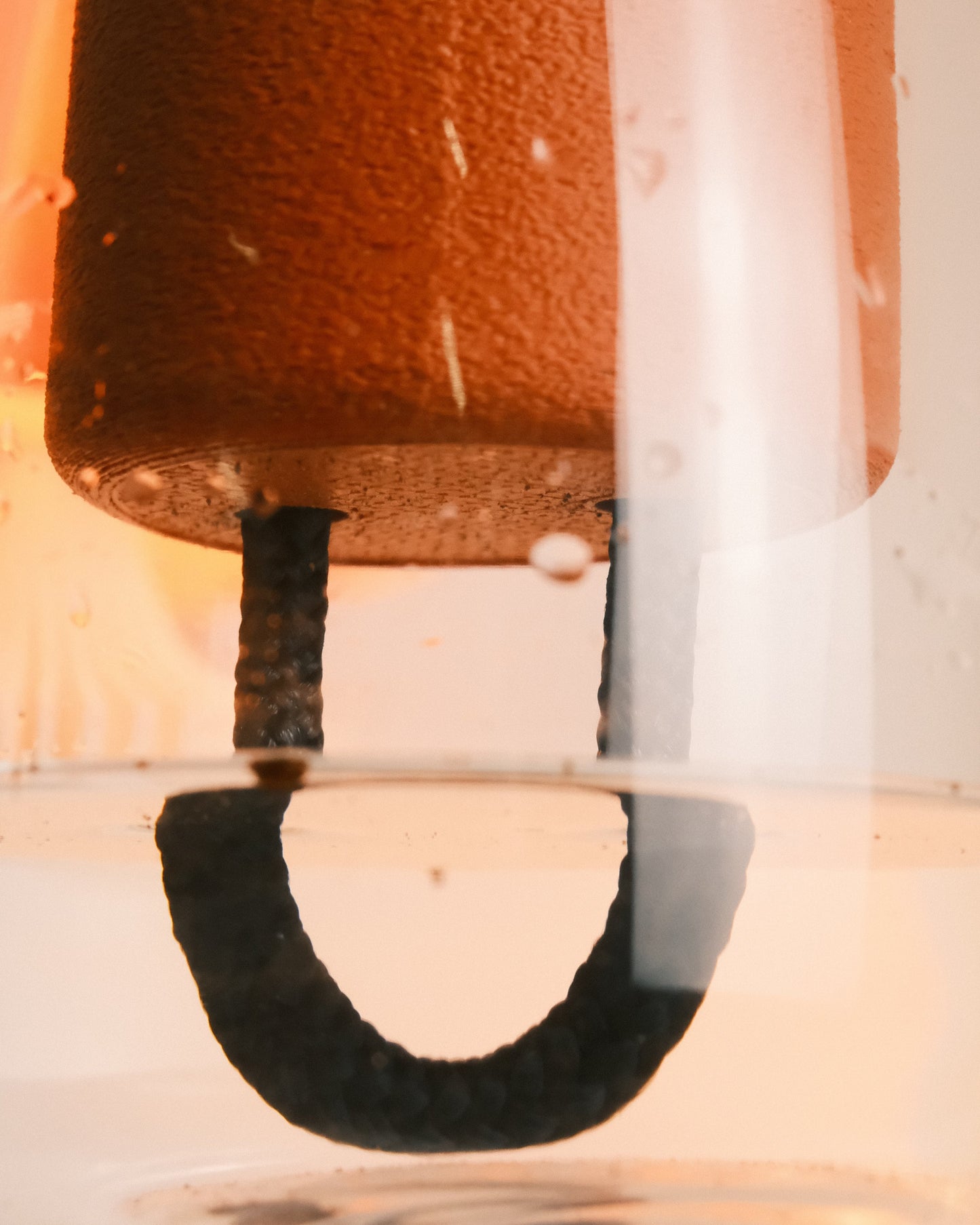 Self Watering Glass Planter