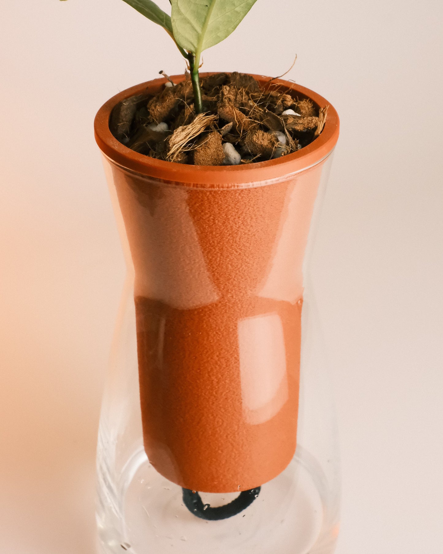 Self Watering Glass Planter