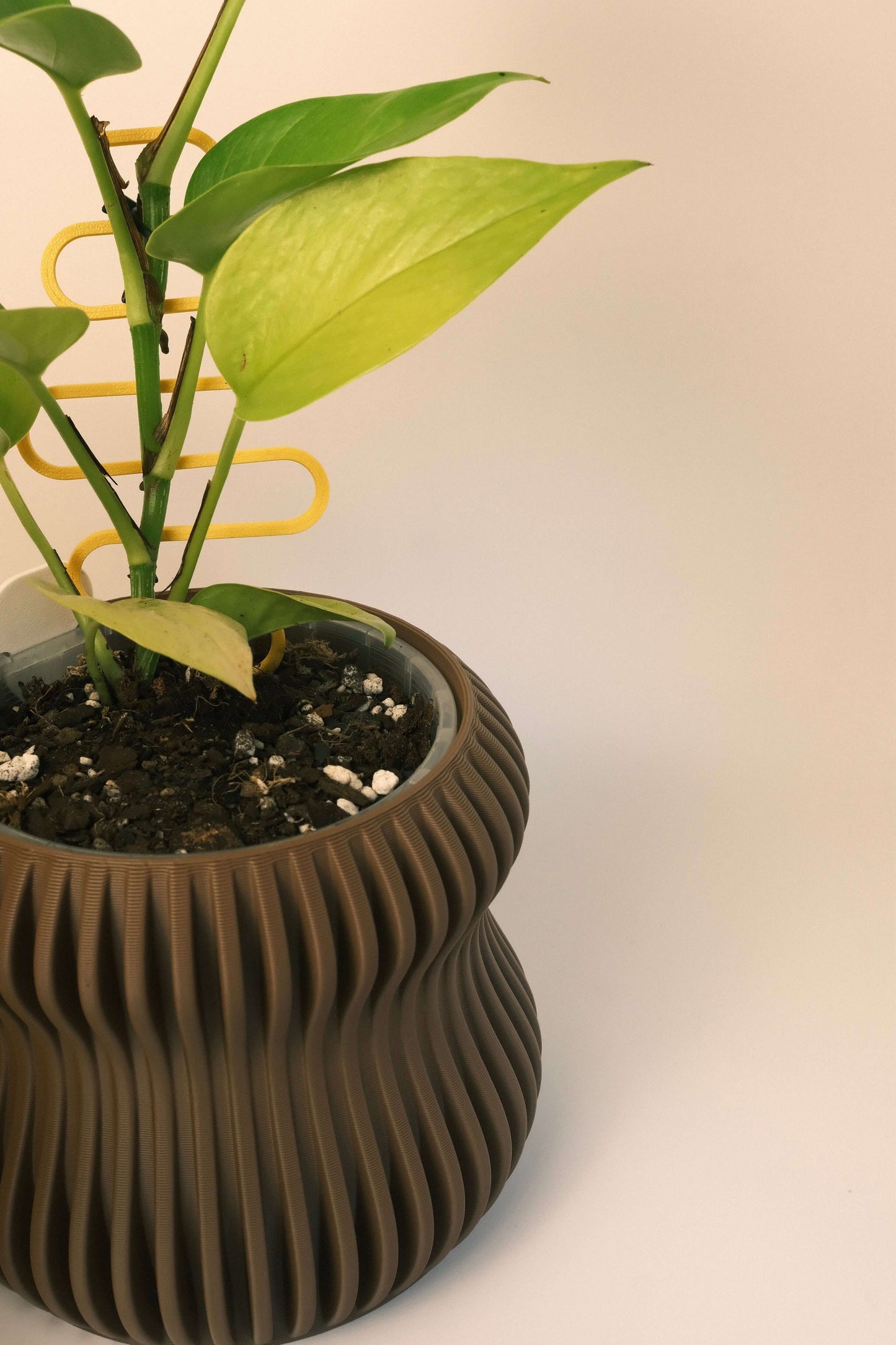 Selene Planter