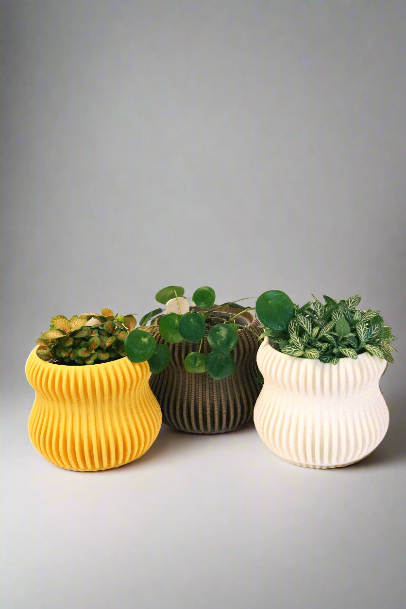 Selene Planter