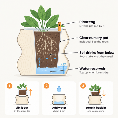 Selene Self Watering Planter