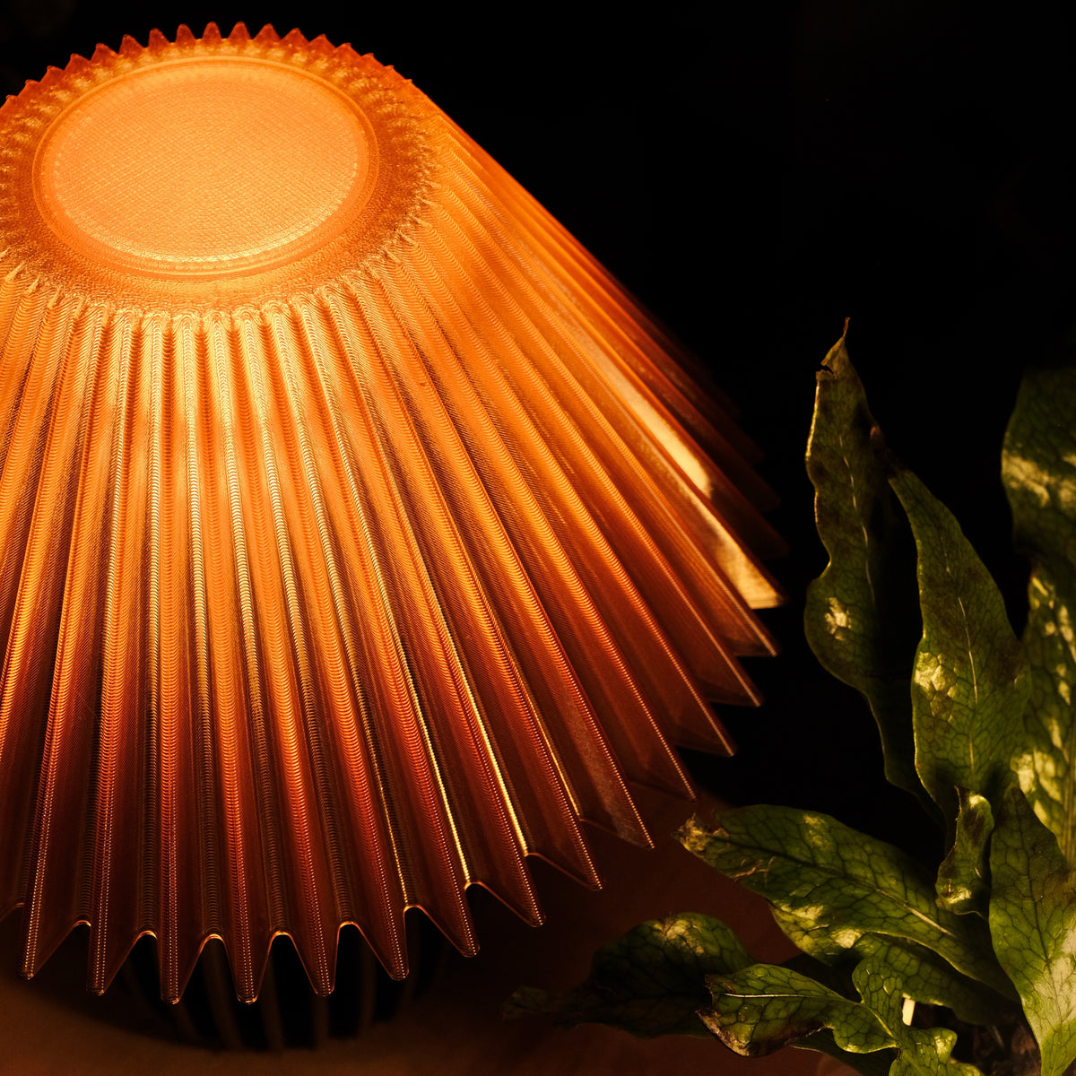 Pleaty Lamp