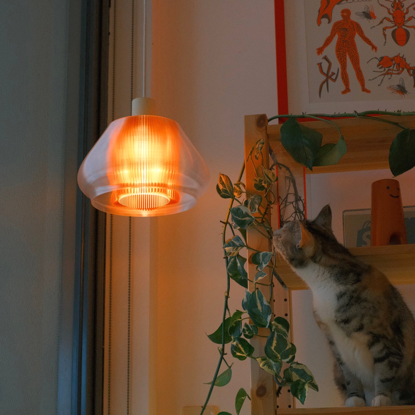 Astro Pendant Lamp
