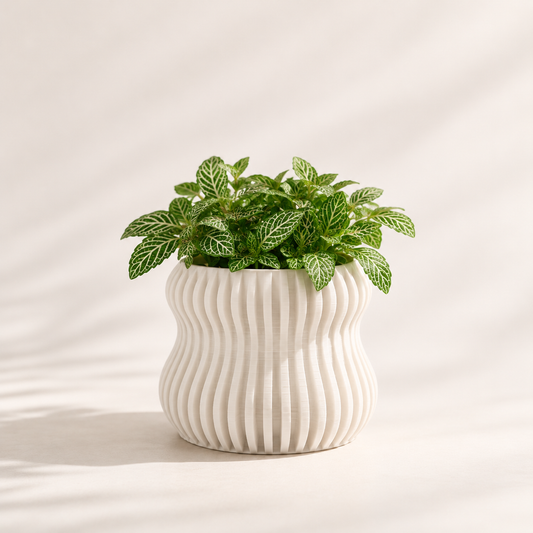 Selene Self Watering Planter
