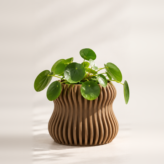 Selene Self Watering Planter