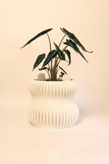 Selene Planter