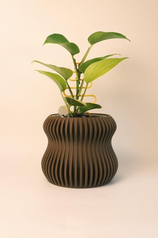 Selene Planter