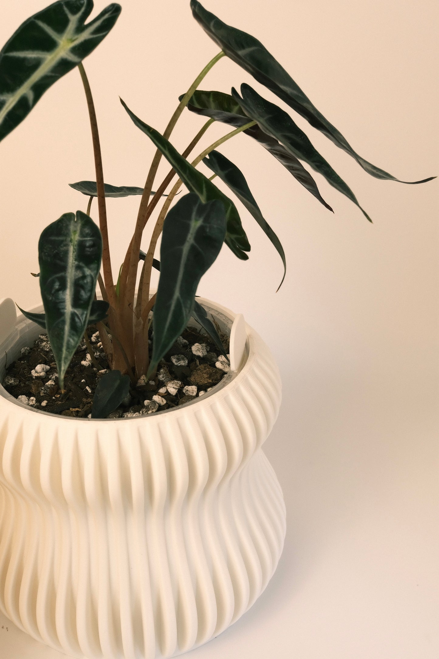 Selene Planter