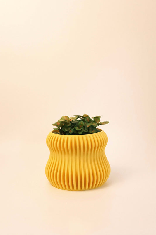 Selene Planter