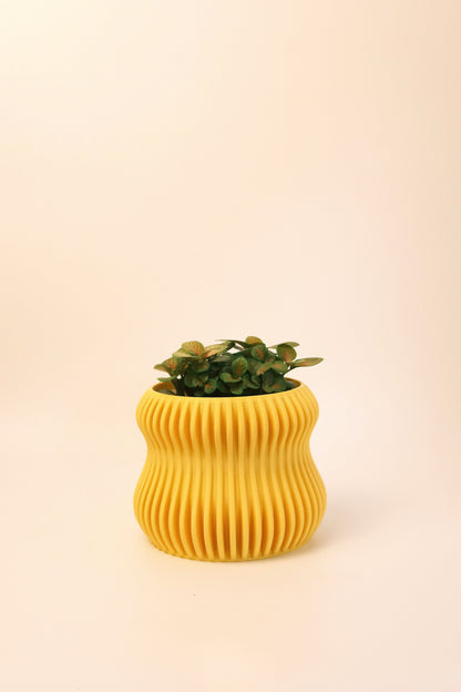 Selene Planter