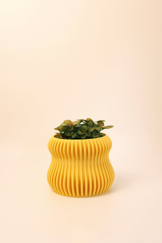 Selene Planter