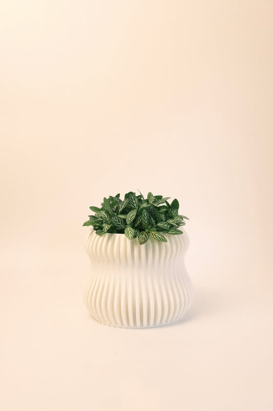 Selene Planter