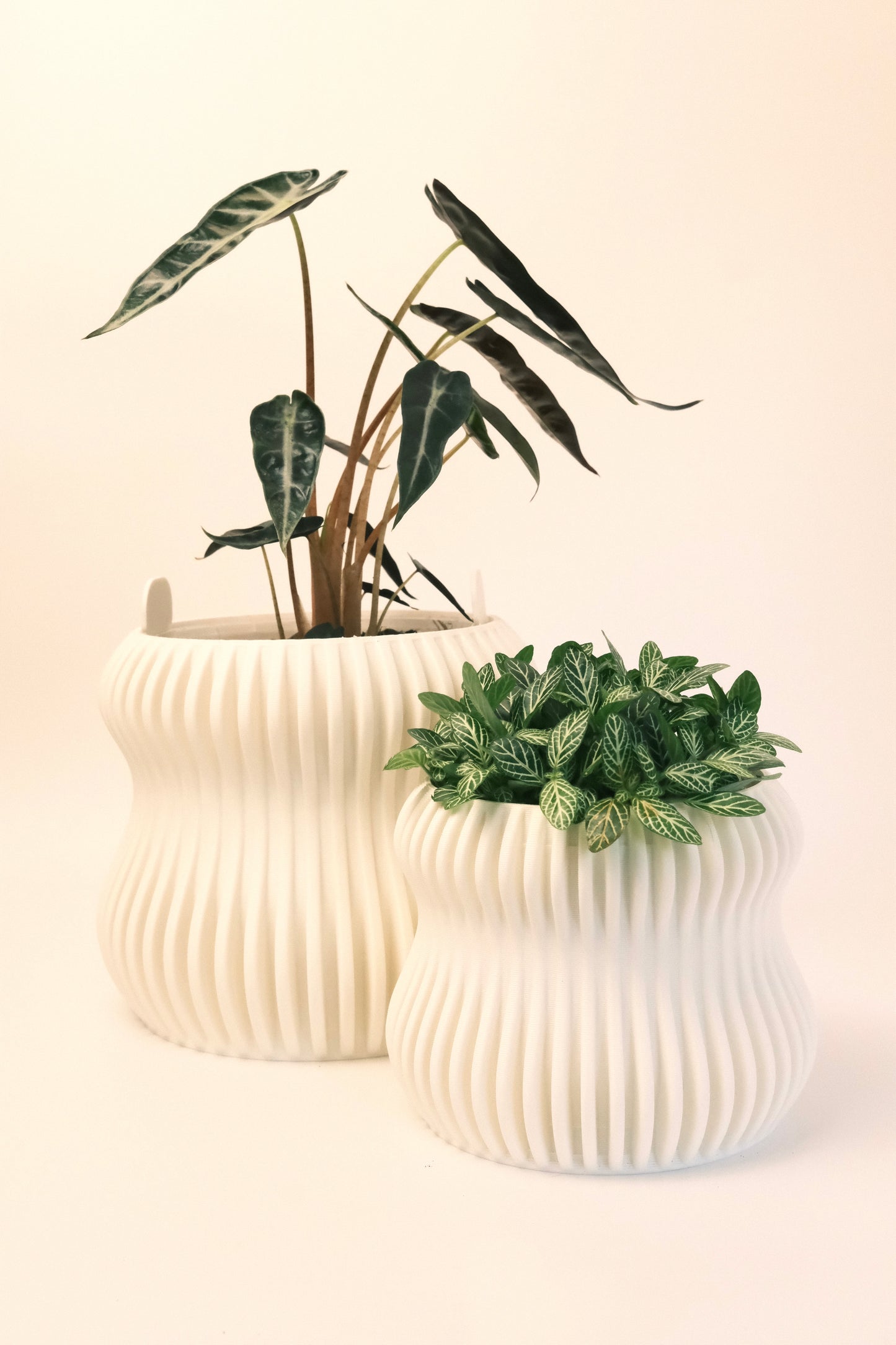 Selene Planter