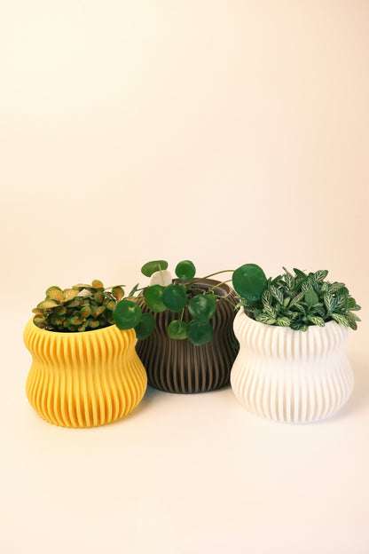 Selene Planter