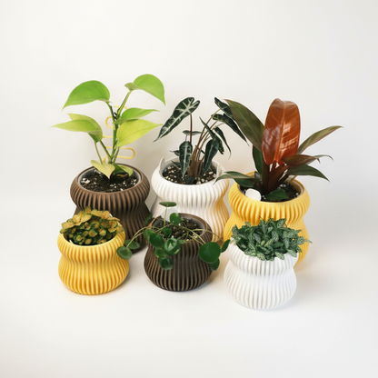 Selene Self Watering Planter