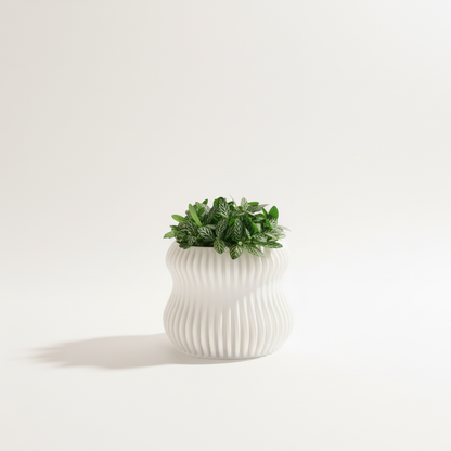 Selene Self Watering Planter