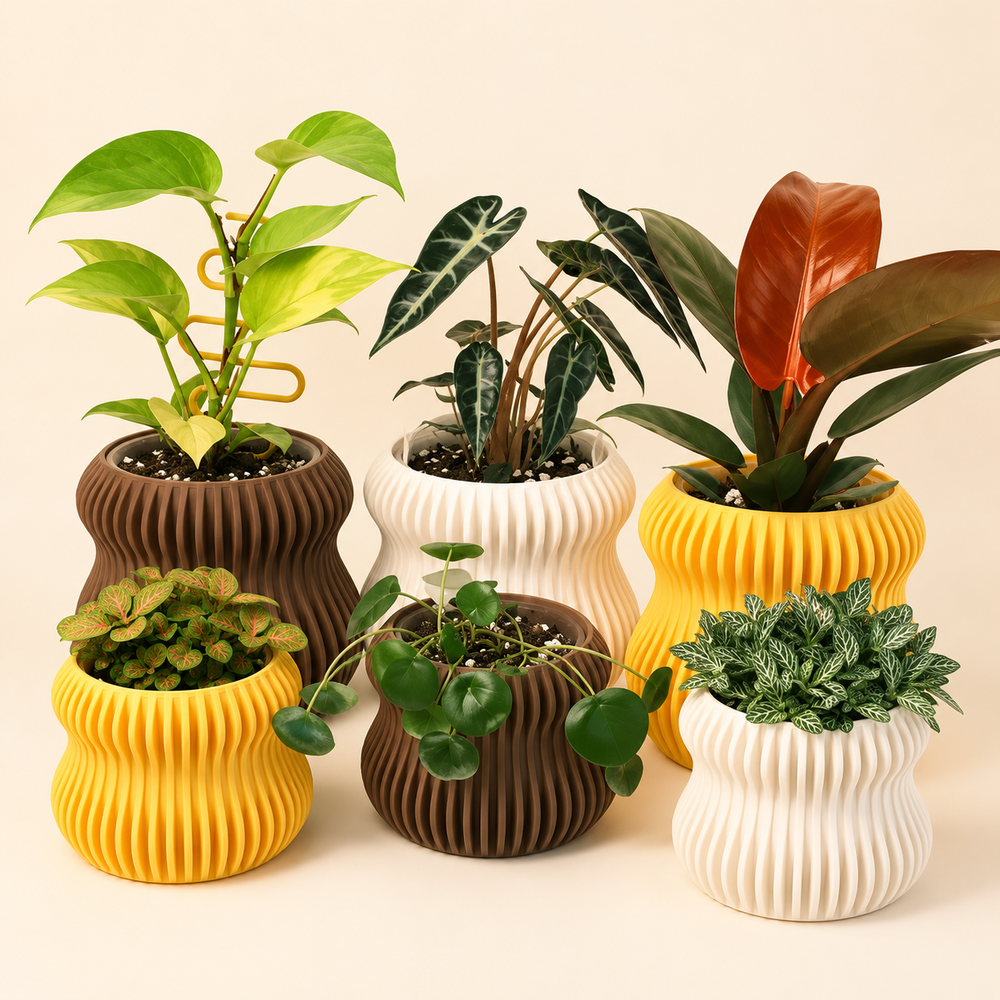 Selene planters in lemon, natural and chocolate with houseplants
