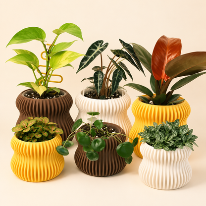 Selene planters in lemon, natural and chocolate with houseplants